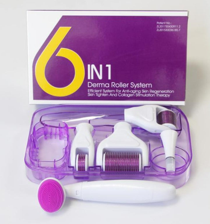 6 in 1 Derma Roller Microneedle Kits For Multiple Skin Care Rejuvenation Treatment Needles Microdermabrasion Roller